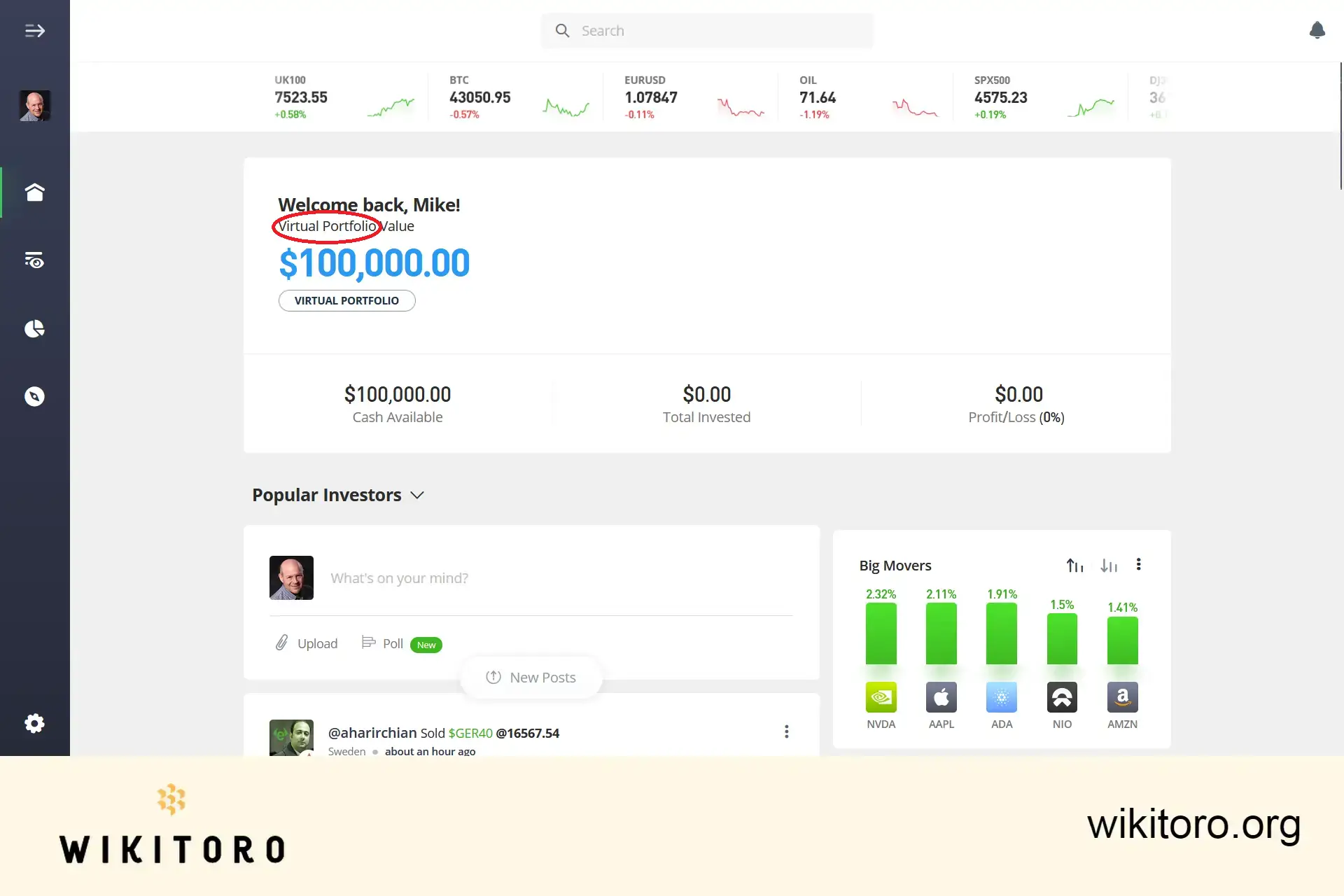 eToro's demo account (aka "Virtual Portfolio")