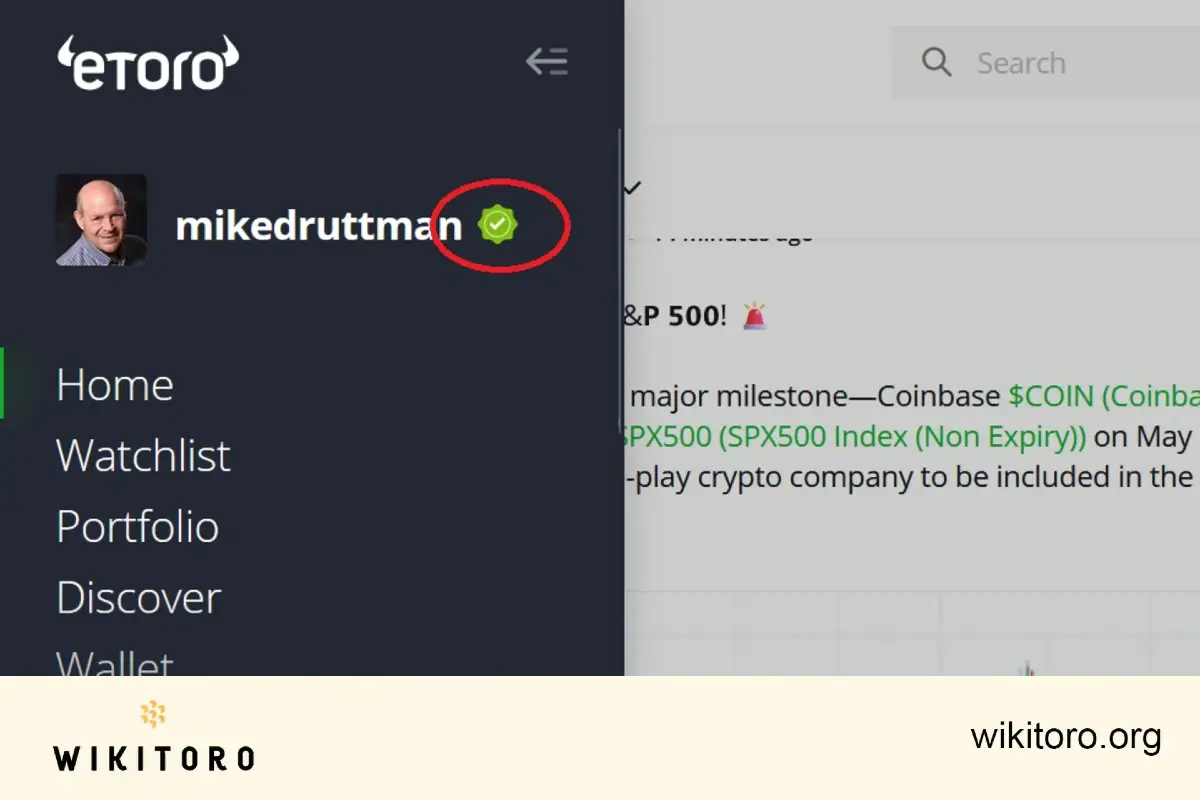 Verified eToro account